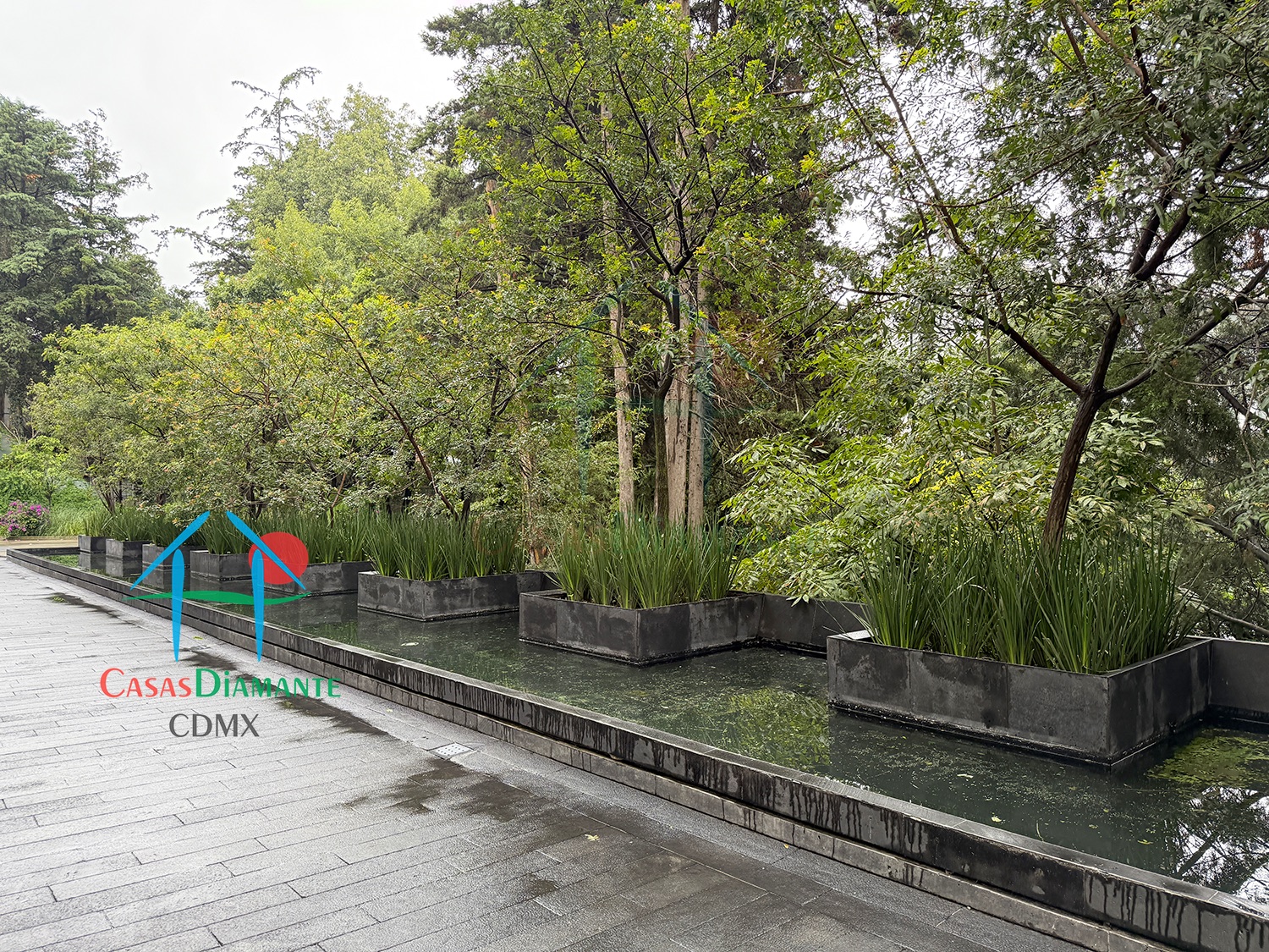 Acanto Ecos del Bosque - Acceso 7 Acanto Ecos del Bosque - Acceso 7